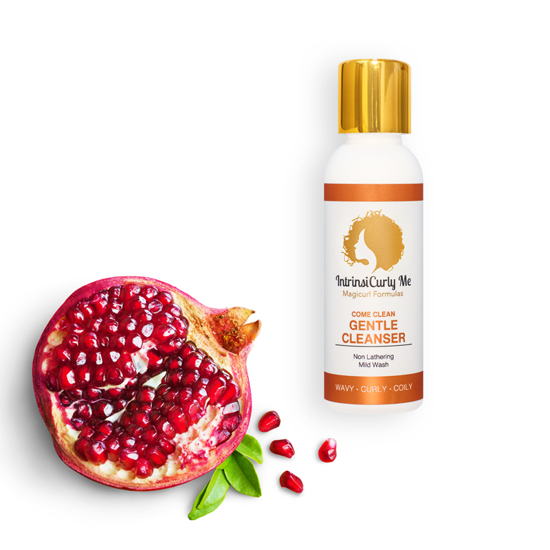 Come Clean Gentle Cleanser